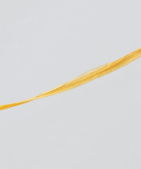 jouet #5 apricot
