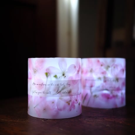 Botanical Lantern Candle  デルフィーム