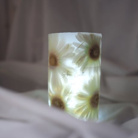 Botanical Lantern Candle  白ガーベラ