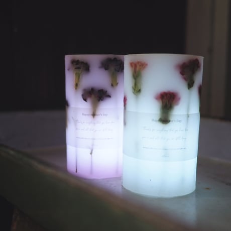 Botanical Lantern Candle  白