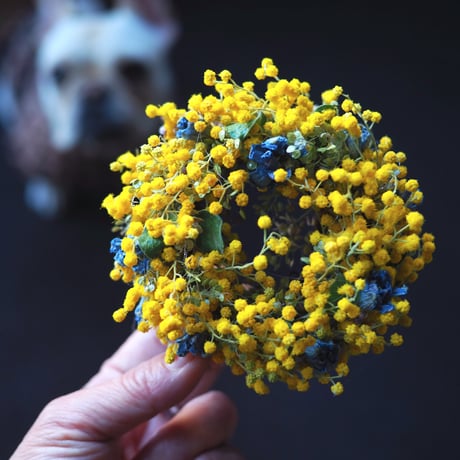 ミモザのミニリースボードアレンジ