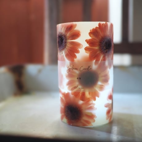 Botanical Lantern Candle  アプリコットガーベラ