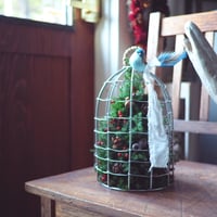 Birdcage arrangement