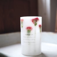 Botanical Lantern Candle  白