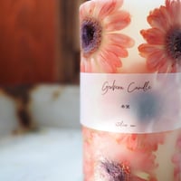Botanical Lantern Candle  アプリコットガーベラ