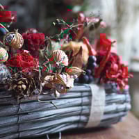 木ノ実のアレンジ 木の実アレンジに新しいコース｜キノミスト®︎基礎コース②