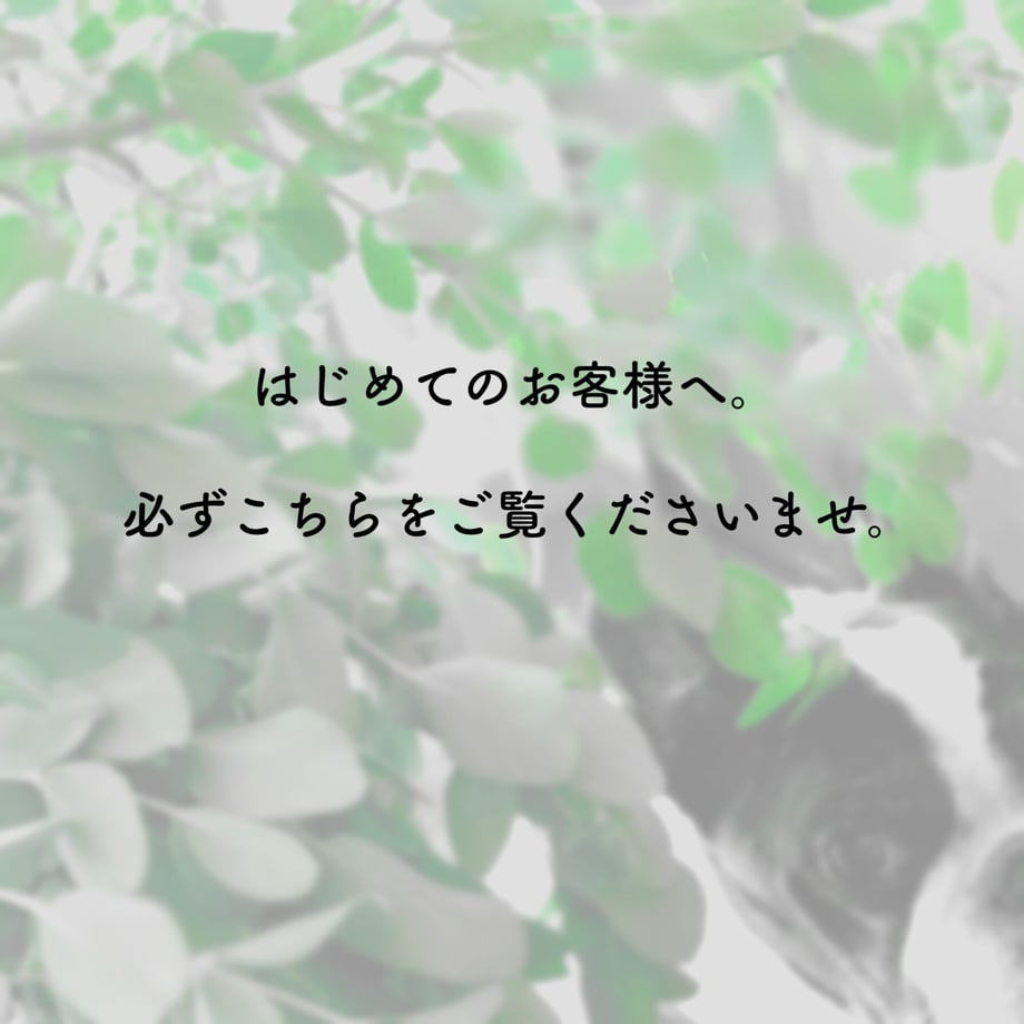 5fdb53e9da019c1c1fae99dd