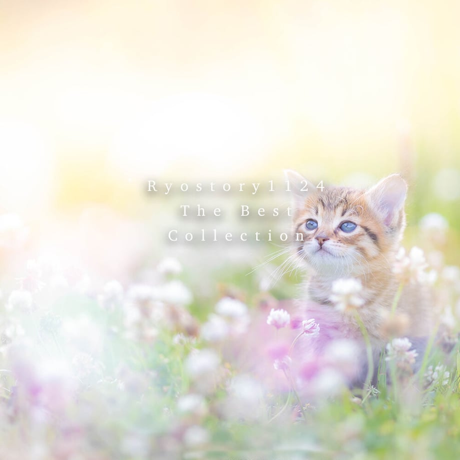 5fe433a2b00aa33ce137a9a8