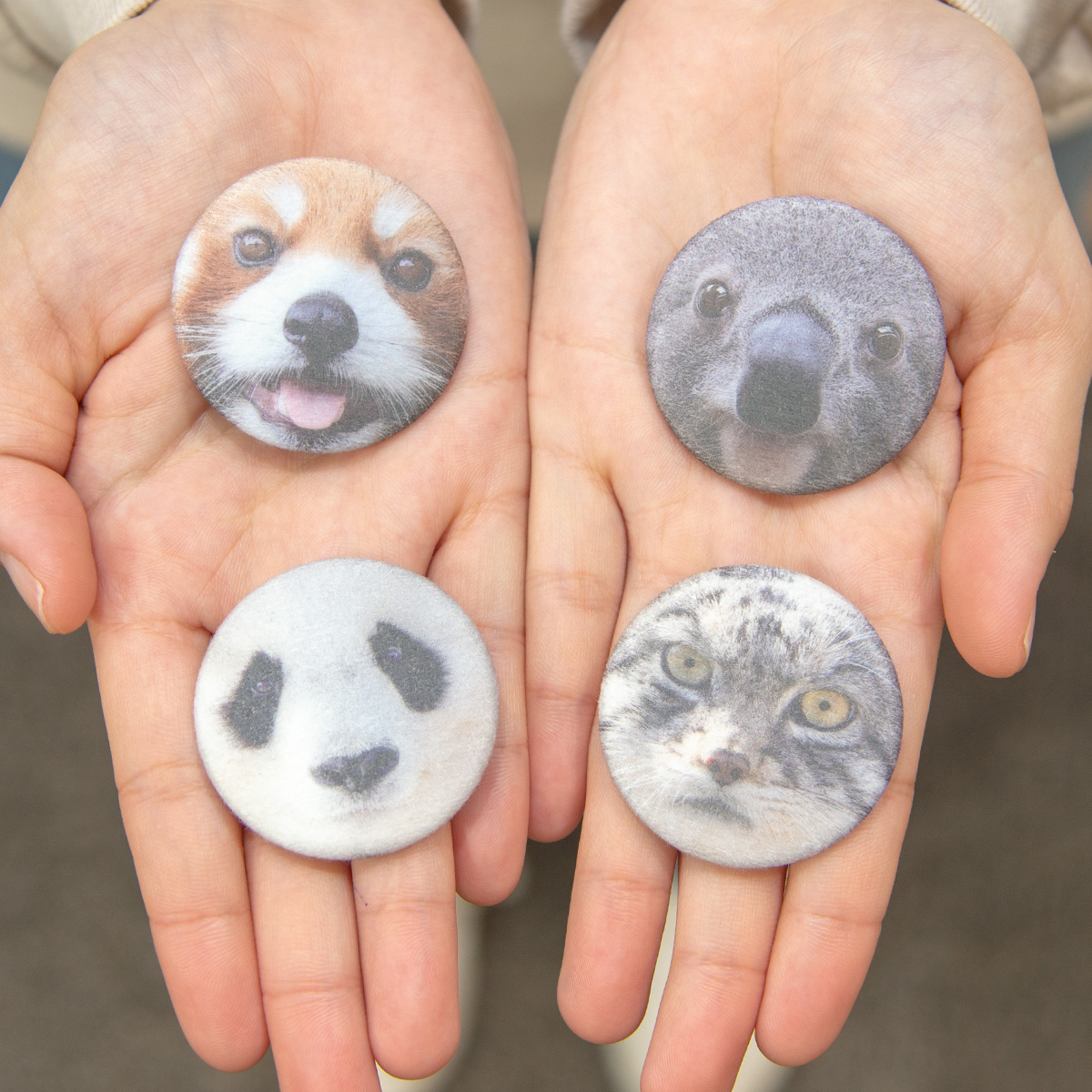 数量限定】王子動物園開園記念「オリジナル桃肌缶バッジ4種 数量限定】王子動物園開園記念「オリジナル桃肌缶バッジ4種