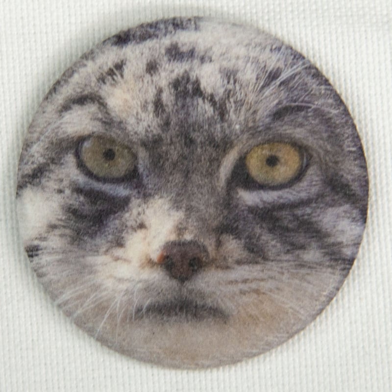 数量限定】王子動物園開園記念「オリジナル桃肌缶バッジ4種セット