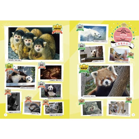 【数量限定】王子動物園フォトグランプリ2022写真特集（A4全100P、フルカラー）