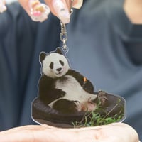 数量限定】THANKS TanTan「タンタン オリジナルトートバッグ 数量限定】THANKS TanTan「タンタン オリジナルトートバッグ