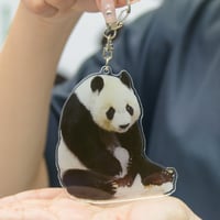 数量限定】王子動物園開園記念「タンタンオリジナル アクリル 数量限定】王子動物園開園記念「タンタンオリジナル アクリル