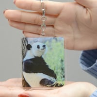 数量限定】王子動物園開園記念「オリジナルバスタオル（タンタン