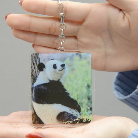 CATEGORY 王子動物園関連グッズ | 神戸新聞オンラインショップ CATEGORY 王子動物園関連グッズ | 神戸新聞オンラインショップ