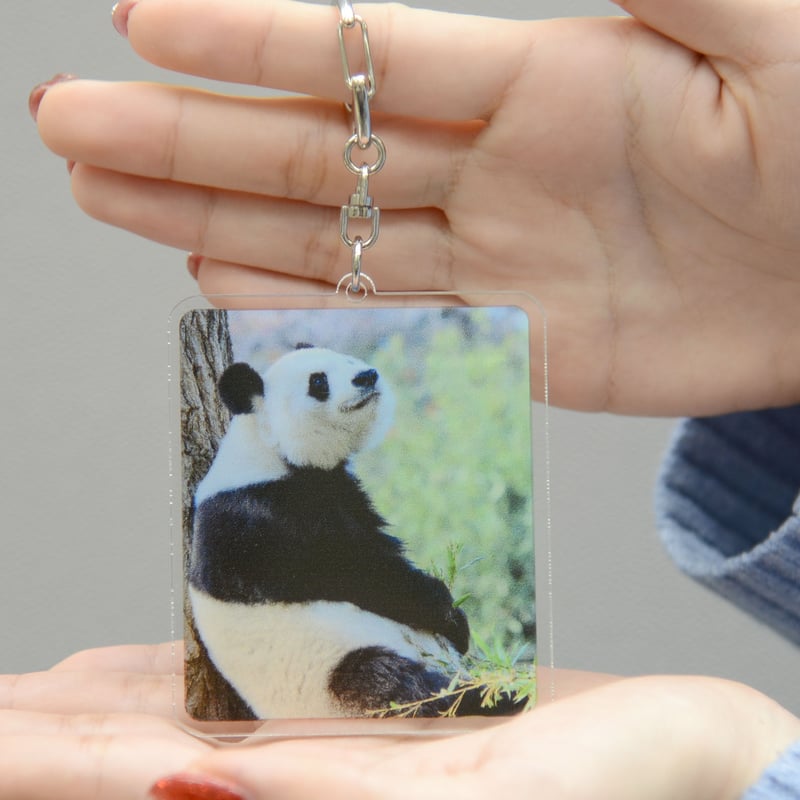 数量限定】神戸新聞フェス「タンタンオリジナル アクリルスタンド