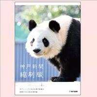 数量限定】王子動物園開園記念「タンタンオリジナル アクリル 数量限定】王子動物園開園記念「タンタンオリジナル アクリル