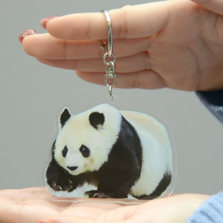 CATEGORY 王子動物園関連グッズ | 神戸新聞オンラインショップ CATEGORY 王子動物園関連グッズ | 神戸新聞オンラインショップ