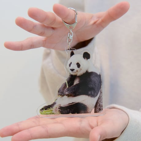 【数量限定】王子動物園開園記念「タンタンオリジナル　アクリルスタンド＆キーホルダーセット（スマイルタンタン）」