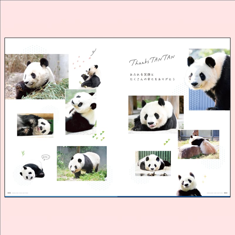 タンタン　神戸新聞 縮刷版 2021年　ジャイアントパンダ　１冊　数量限定　レア 数量限定】THANKS TanTan「神戸新聞縮刷版（タンタン総集編）」 | 神戸