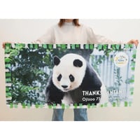 ありがとうパンダ返還メモリアルグッズ パンダの赤ちゃんLMC 笹持ち/Panda no akachan LMC Sasamochi