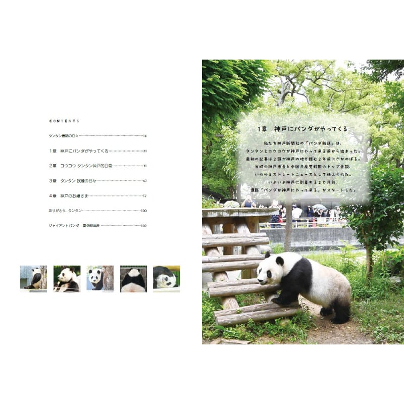 王子動物園　パンダ写真集　コウコウとタンタン　新聞切り抜き 王子動物園 パンダ写真集 コウコウとタンタン 新聞切り抜き