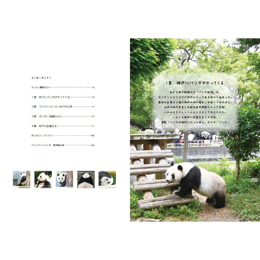 タンタン、ありがとう 神戸とパンダの記録」（B5判/104ページ） | 神戸