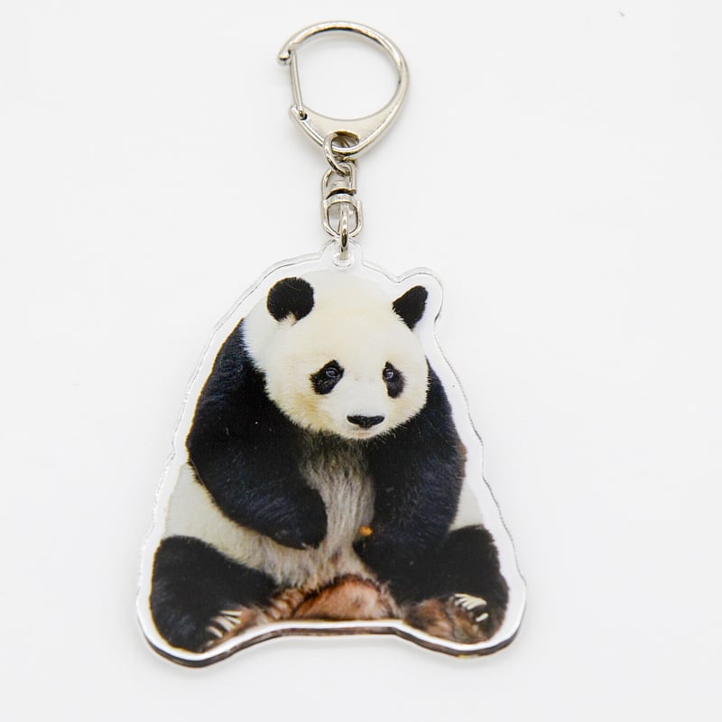 数量限定】TANTAN 28th anniversary 「特製アクリルスタンド