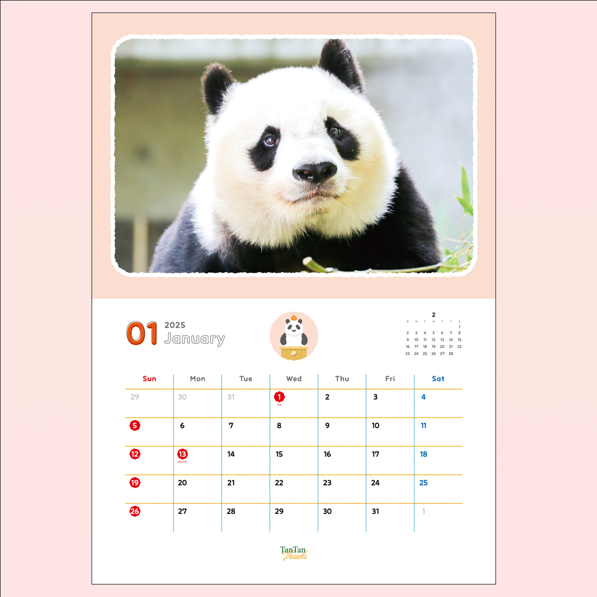 数量限定】THANKS TanTan「2025 タンタンの壁掛けカレンダー