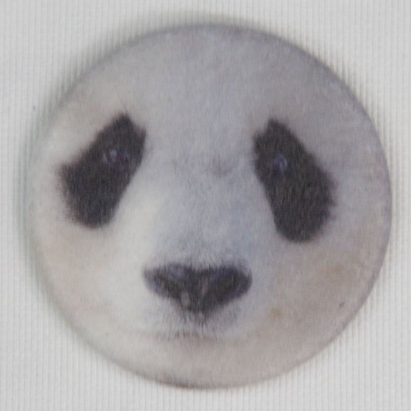 数量限定】王子動物園開園記念「オリジナル桃肌缶バッジ4種 数量限定】王子動物園開園記念「オリジナル桃肌缶バッジ4種