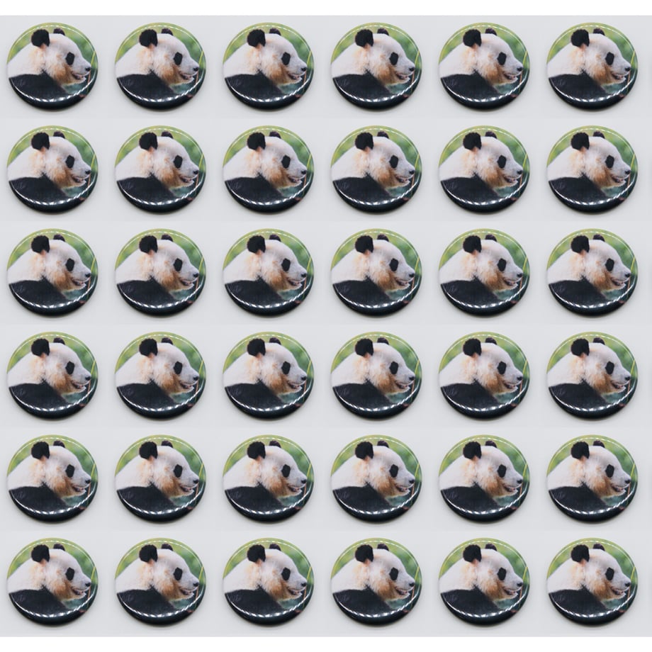 6504167ea49922003245943b