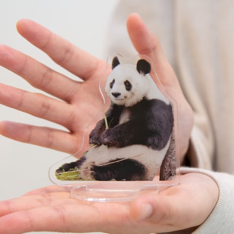 【期間限定】王子動物園開園記念「タンタンオリジナル　アクリルスタンド＆キーホルダーセット（スマイルタンタン）」