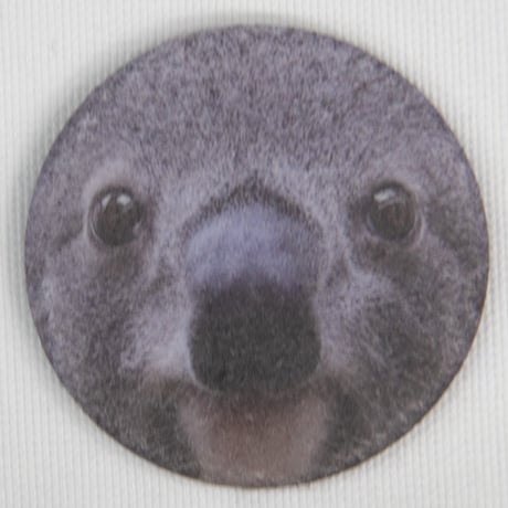 【数量限定】王子動物園開園記念「オリジナル桃肌缶バッジ４種セット」