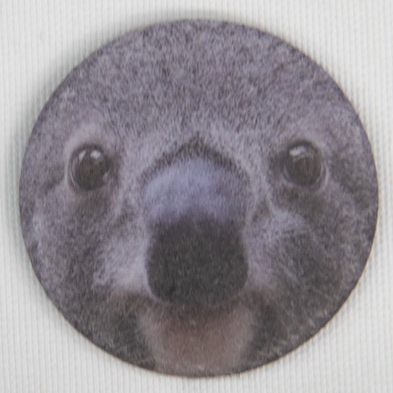 数量限定】王子動物園開園記念「オリジナル桃肌缶バッジ4種セット