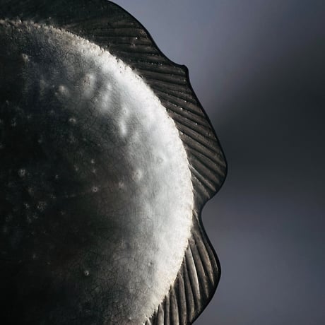 TN−8 谷井直人　銀彩高杯皿　コンポート　TN-8 Naoto Tanii, Silver-glazed high cup dish, Compote