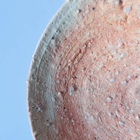 Tー99 辻村史朗　信楽小皿　　Shiro Tsujimura Shigaraki Small Plate