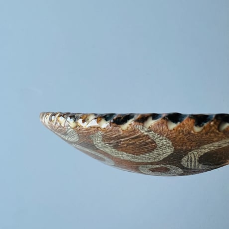 TNー68 谷井直人　グリグリ黒流し小皿　Naoto Tanii – Black Glazed Small Plate – Grigri