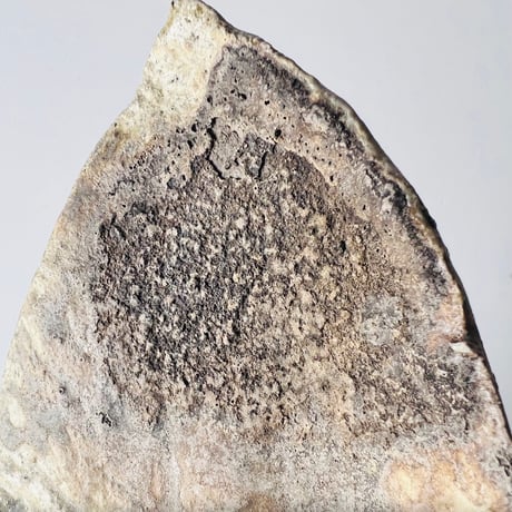 T−118 辻村史朗　伊賀葉皿　共箱付　Shiro Tsujimura Leaf-Shaped Plate