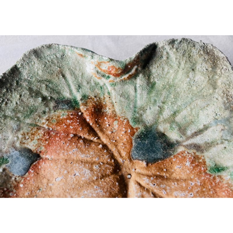Tー116 辻村史朗 伊賀葉皿大 共箱付 Shiro Tsujimura Large Leaf