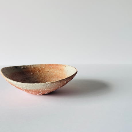 Tー99 辻村史朗　信楽小皿　　Shiro Tsujimura Shigaraki Small Plate