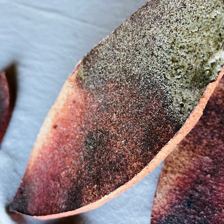 O−40 大平新五　信楽葉皿五枚組　　Shingo Ohira – Set of Five Shigaraki Leaf Plates