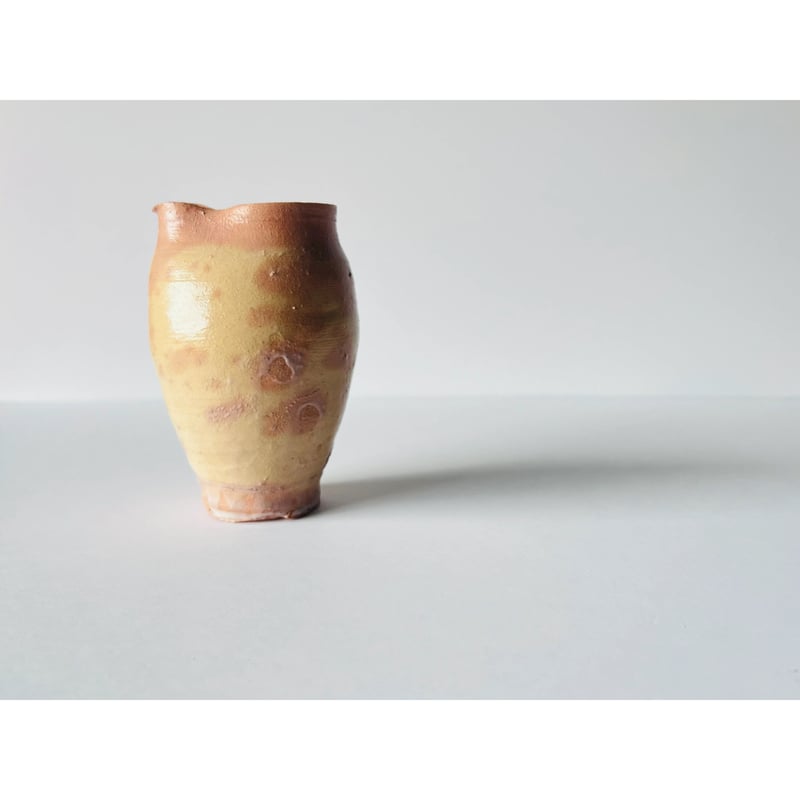 T−102 辻村史朗 井戸片口 Shiro Tsujimura Ido Katakuchi