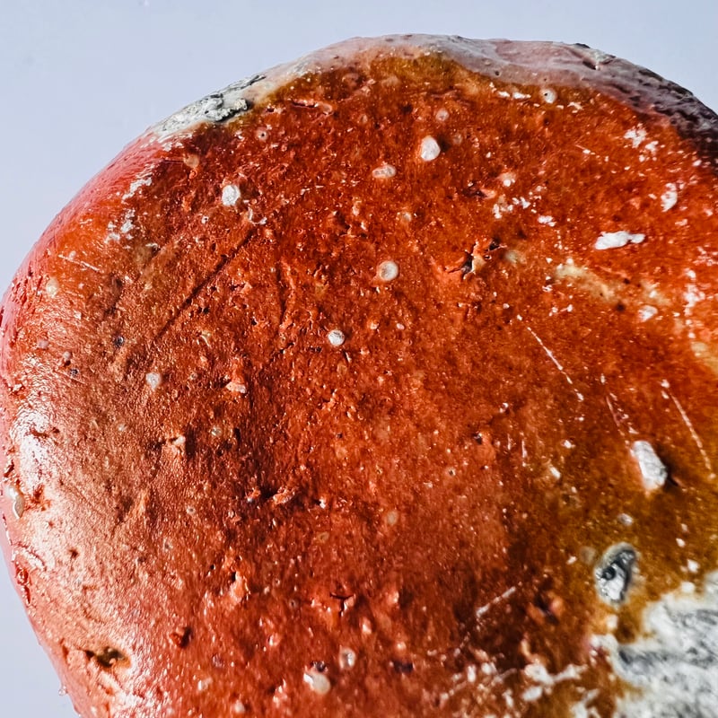 T−36 辻村史朗 信楽徳利 共箱付 Shiro Tsujimura, Shigaraki S