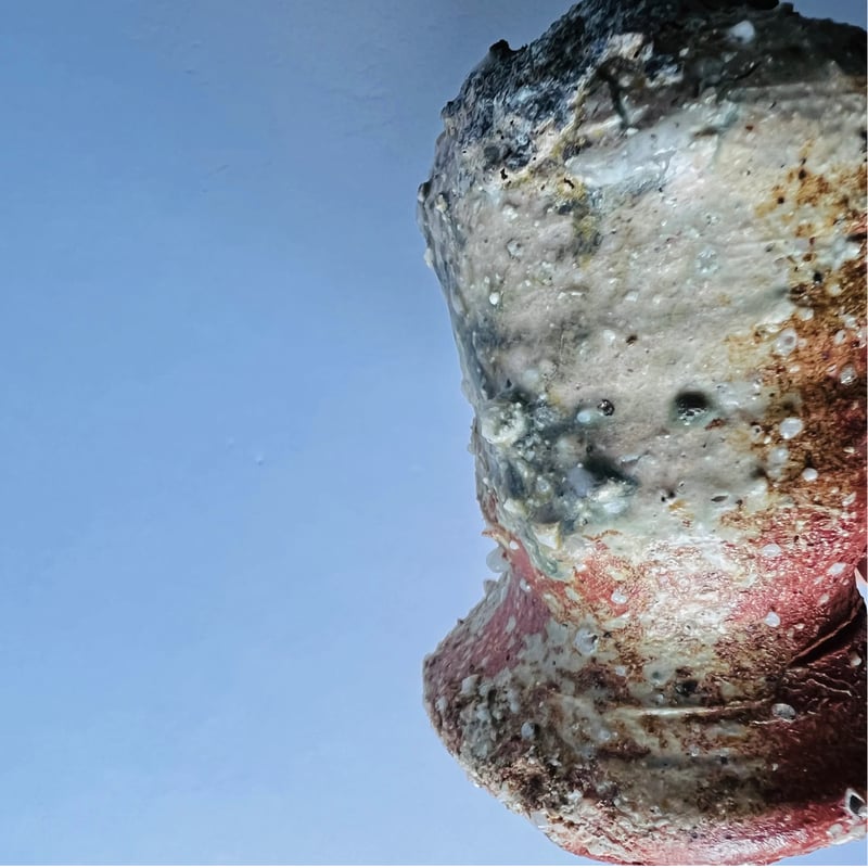 Tｰ58 辻村史朗 信楽一輪挿掛花入 Shiro Tsujimura Shigaraki Fl