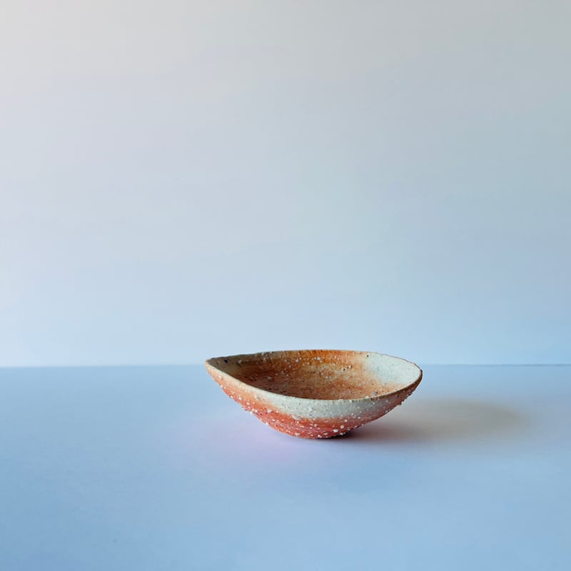 Tー99 辻村史朗 信楽小皿 Shiro Tsujimura Shigaraki Small