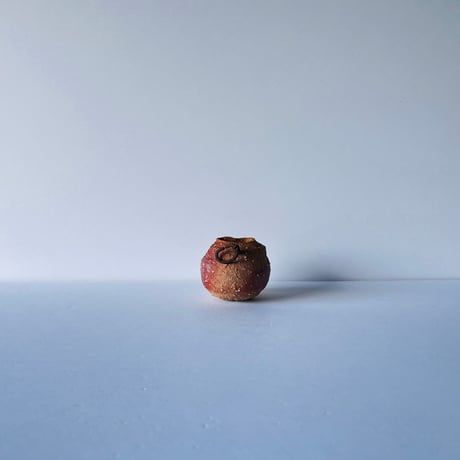 Tｰ54 辻村史朗　信楽蹲掛花入　共箱有　Shiro Tsujimura Shigaraki Uzukumaru hanging vase