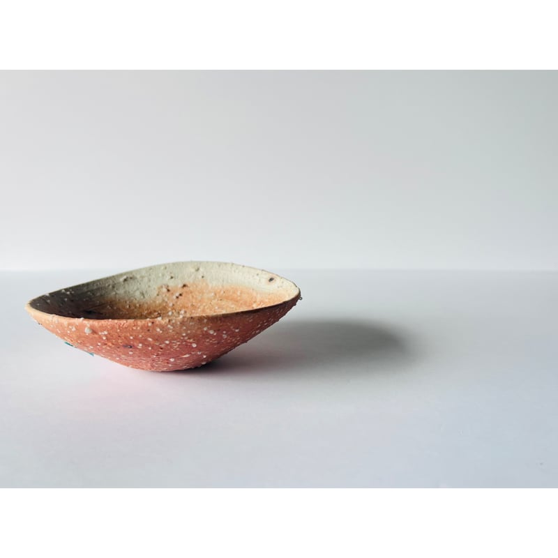 Tー99 辻村史朗 信楽小皿 Shiro Tsujimura Shigaraki Small