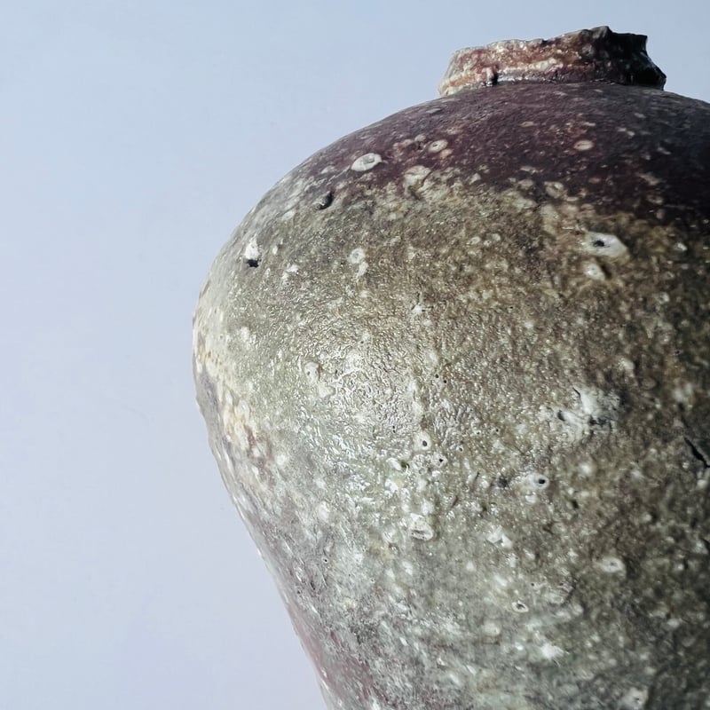 信楽之壺　模様あり 信楽壺 s-2 – 岡南ギャラリー