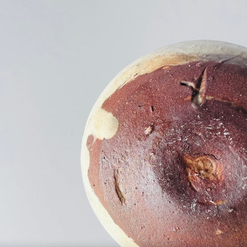 T−135 辻村史朗 粉吹ワインカップ 共箱付（後日発送）Shiro Tsujimura