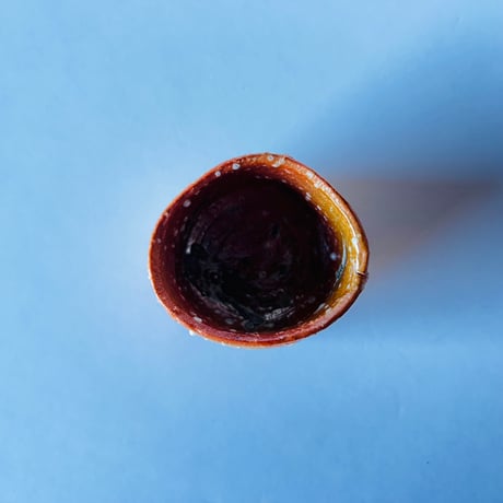 Tー96 辻村史朗　信楽ぐい呑　共箱有　Shiro Tsujimura Shigaraki sake cup